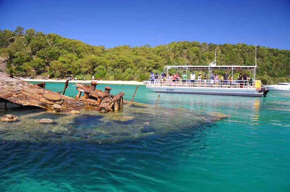 Marine Discovery Day Cruise with option to upgrade to Dolphin Feeding | Moreton Island