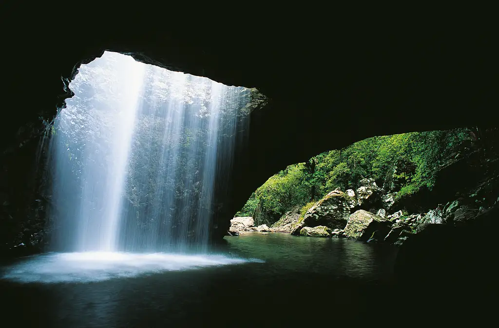 Natural Bridge & Springbrook Waterfalls Tour