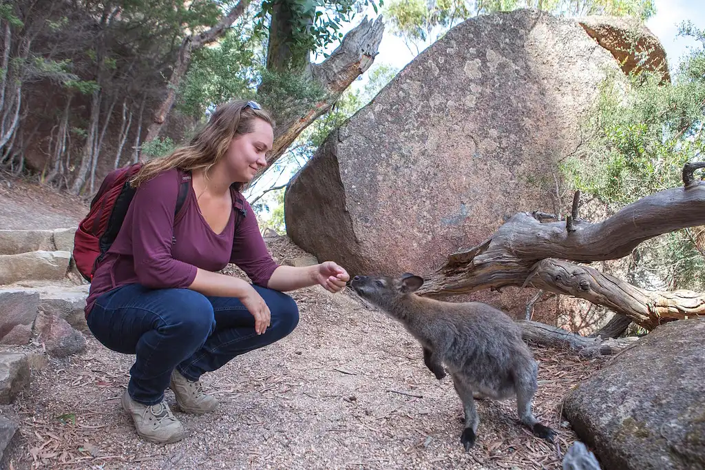 Wineglass Bay & Freycinet Day Tour from Hobart