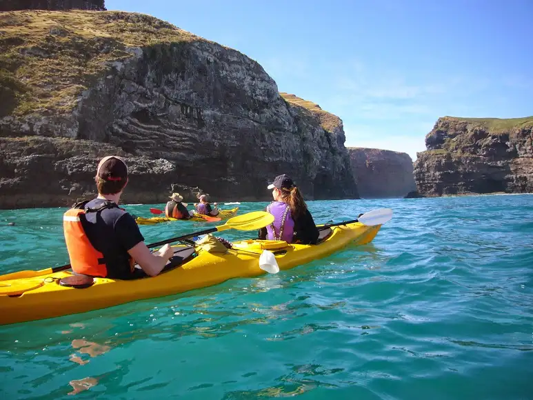 Scenic Kayaking Tour Pohatu Marine Reserve