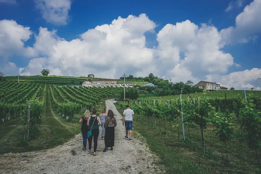 Prosecco Wine Tour From Venice - Shared Tour