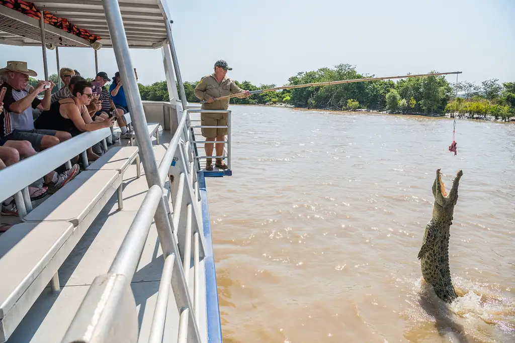 Spectacular Jumping Crocodile Cruise - Darwin