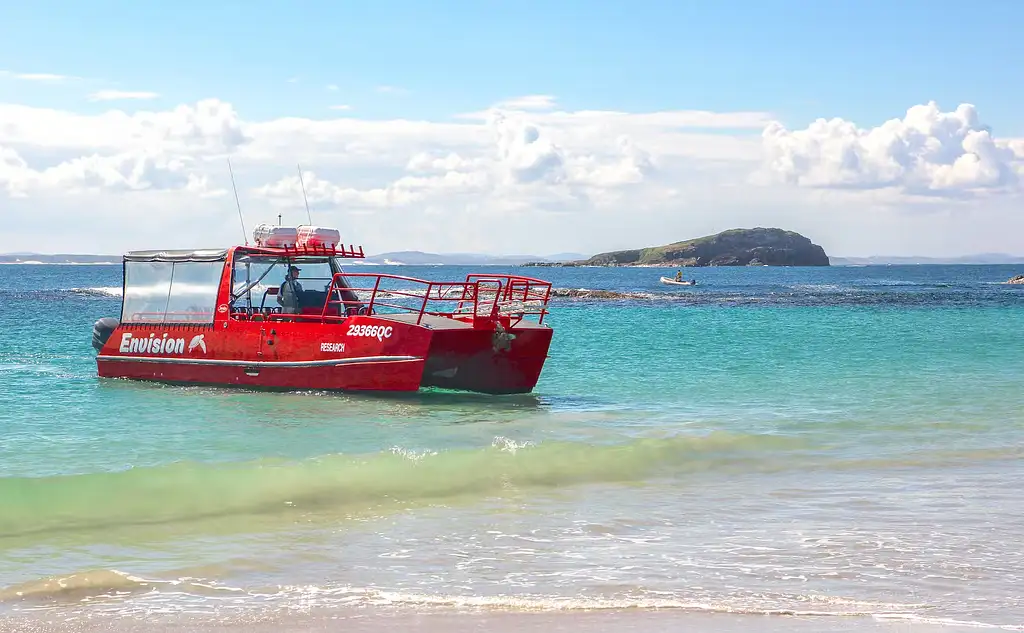 Highlights of Port Stephens Eco Adventure & Beach Swim