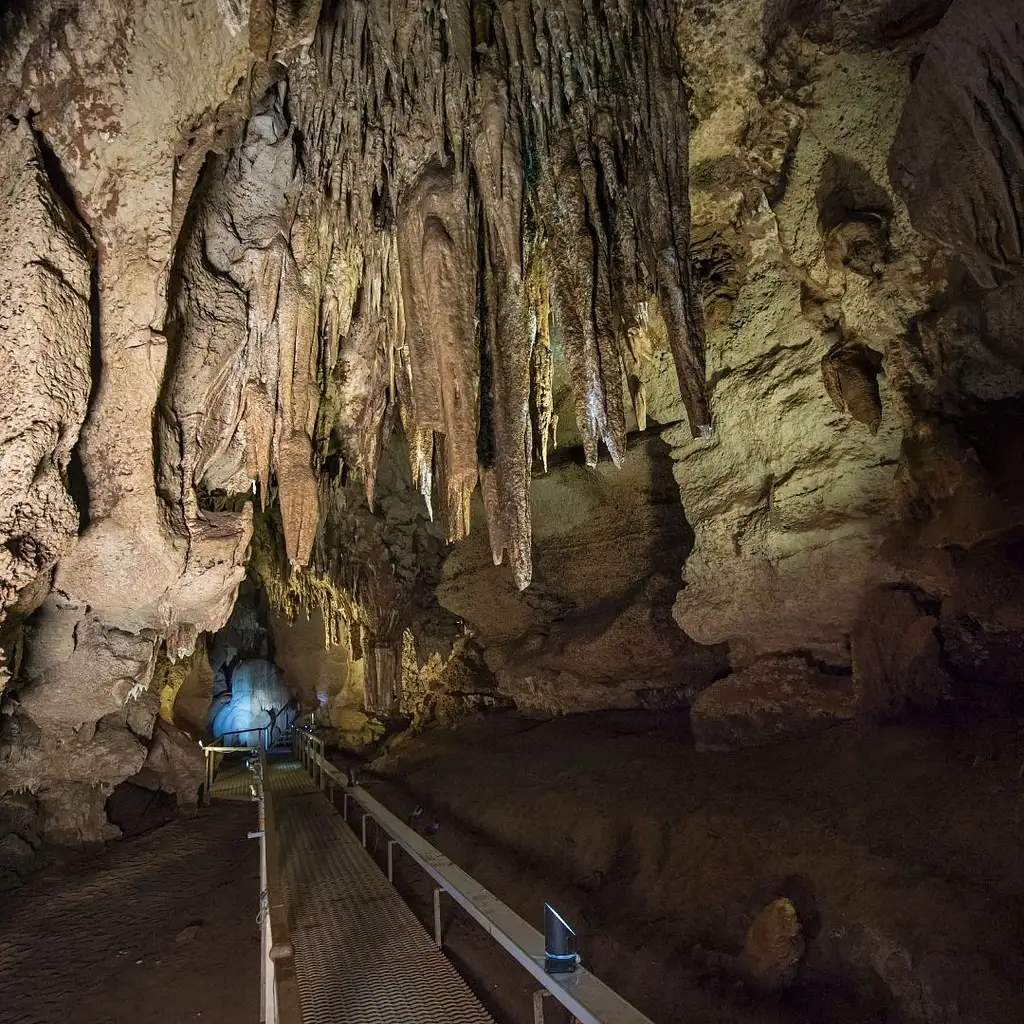 Cutta Cutta Caves Guided Tour