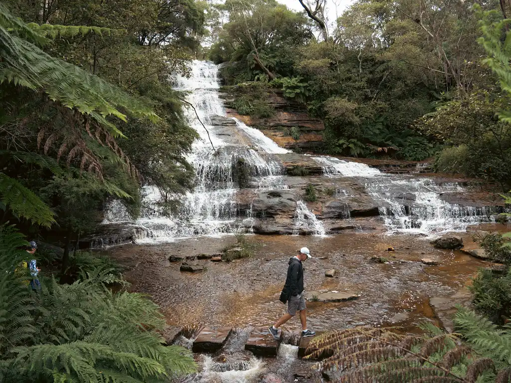 Ultimate Blue Mountains Tour, inc Scenic World, Lunch, Waterfalls, Harbour Cruise & Sydney Zoo plus a FREE up-close Koala Digital Photo