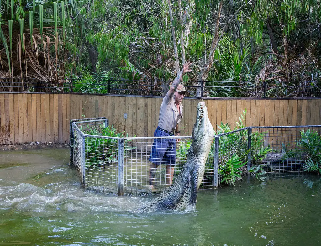 Hartley's Crocodile Adventures Half Day Tour