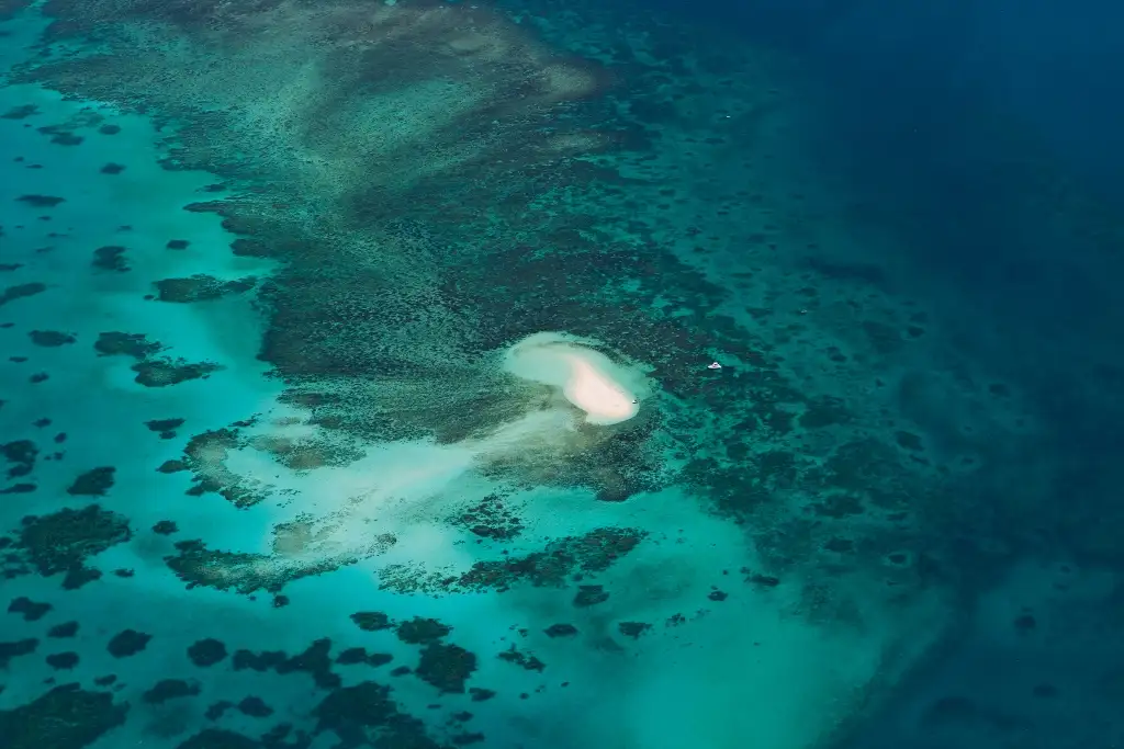 Great Barrier Reef Scenic Flight - Reef Hopper