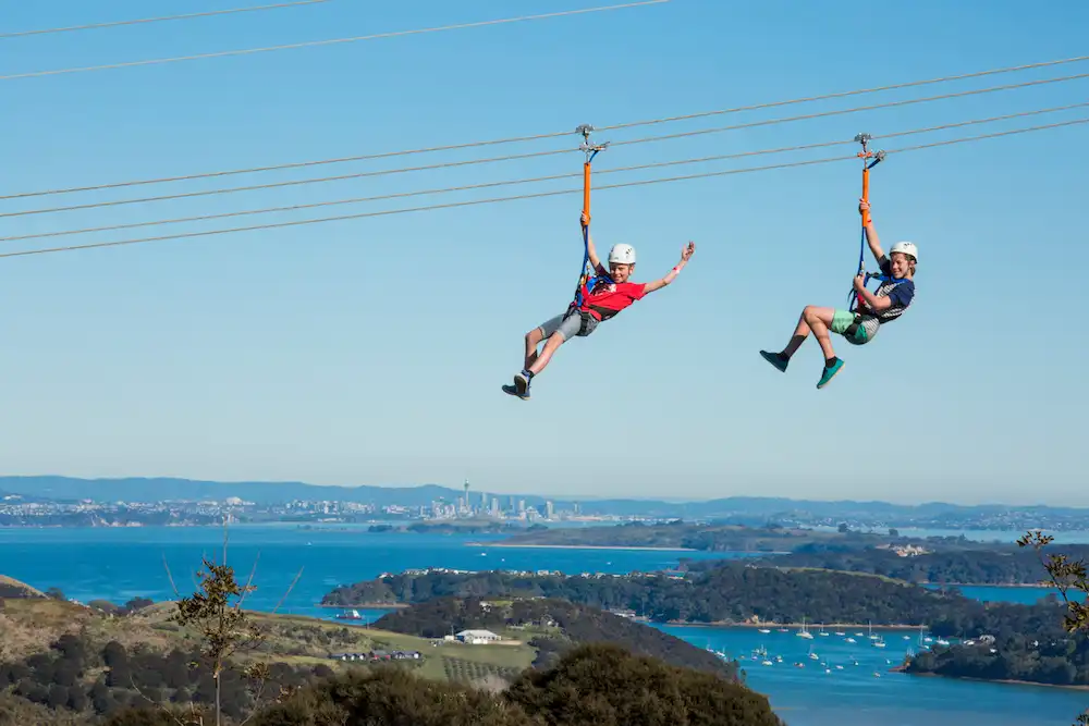 Ziplining & Forest Walk Waiheke Island