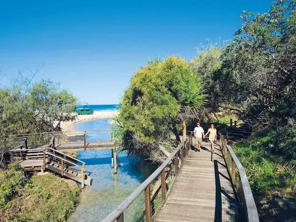 Dingos 3 Day K'gari (Fraser Island) 4WD Tag-Along Adventure