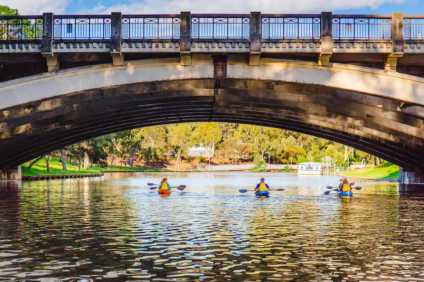 Adelaide City Guided Kayak Tour