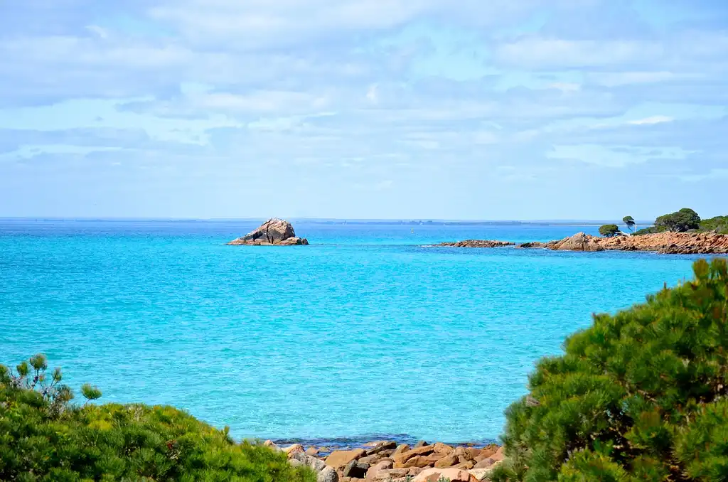 Coastal & Wildlife Eco Tour - Busselton