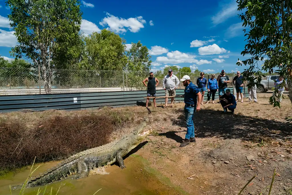 Top End Safari Camp Day Tour