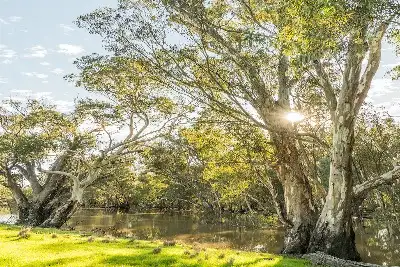 3 Night Murray River Discovery Cruise