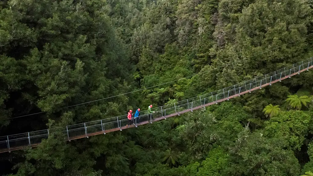 The Ultimate Canopy Tour