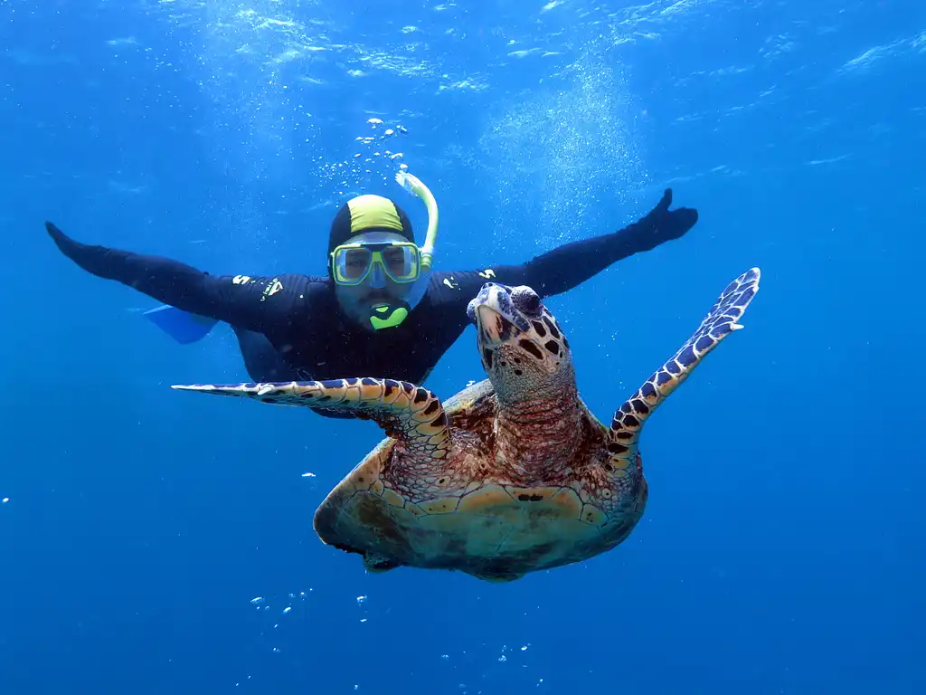 Poseidon Outer Reef Snorkel | Intro Dive | Cert Dive  - Port Douglas