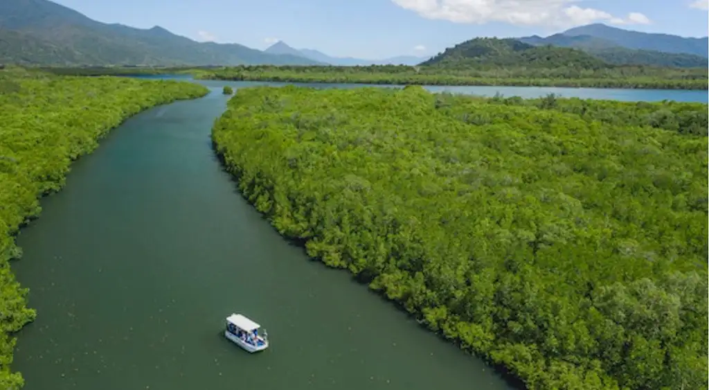 Cairns River Cruise & City Sights Tour