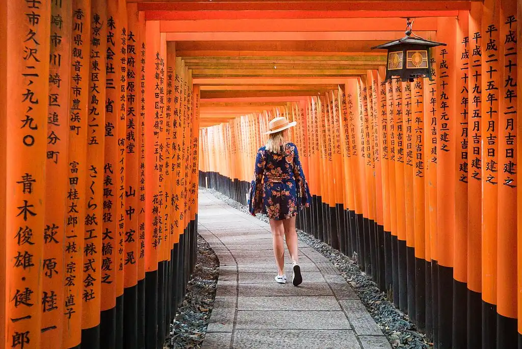 9 Day Japan Express Tour | Intrepid | Tokyo to Kyoto