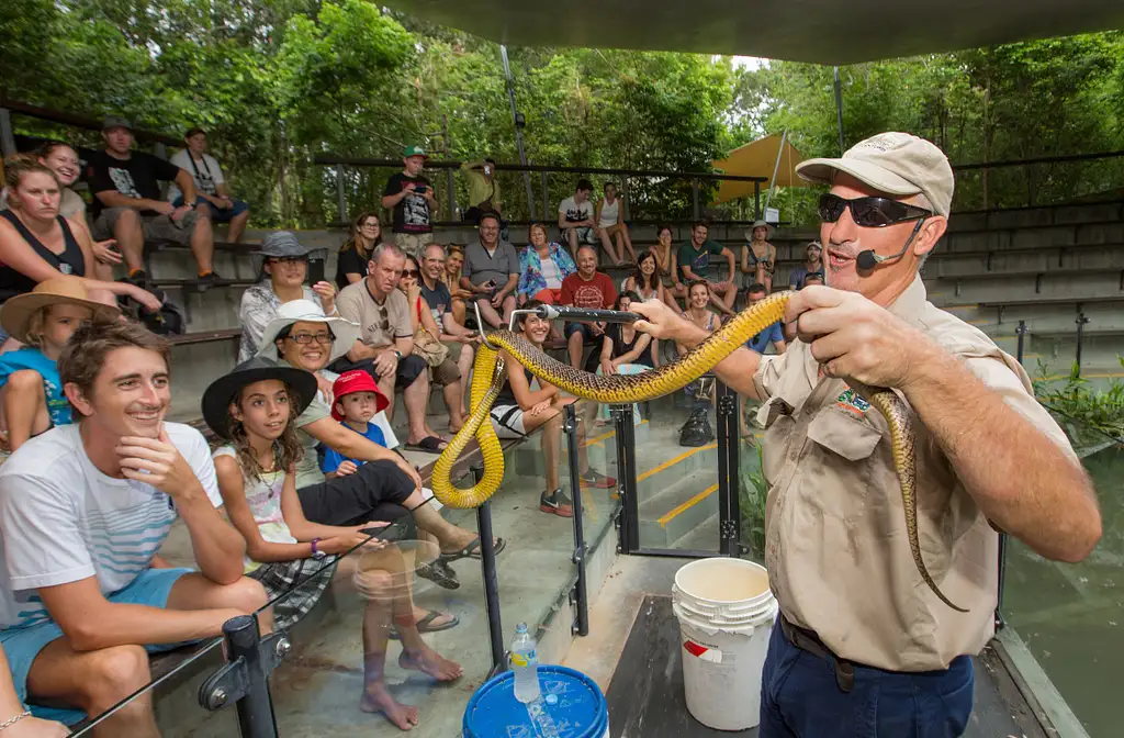 Hartley's Crocodile Adventures Half Day Tour