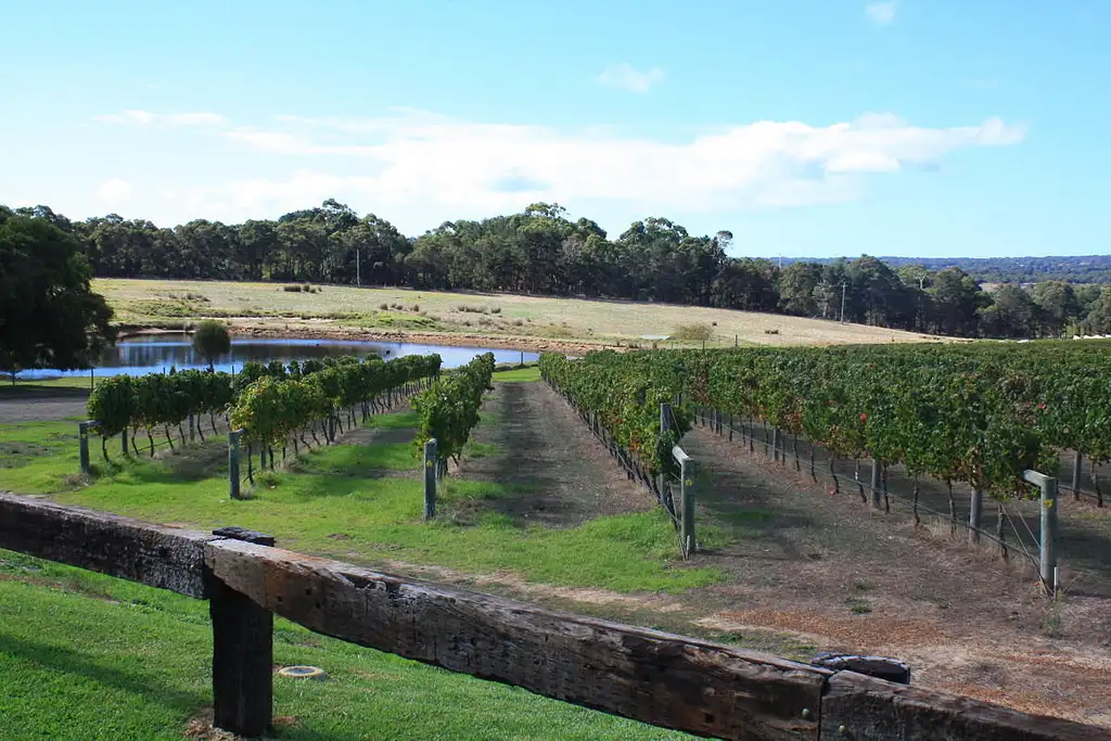 Margaret River Winery Tour with Lunch