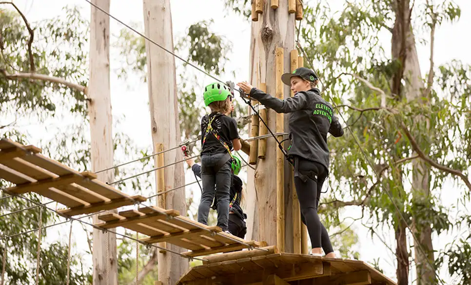 Surf Coast & Lorne Zipline Tour