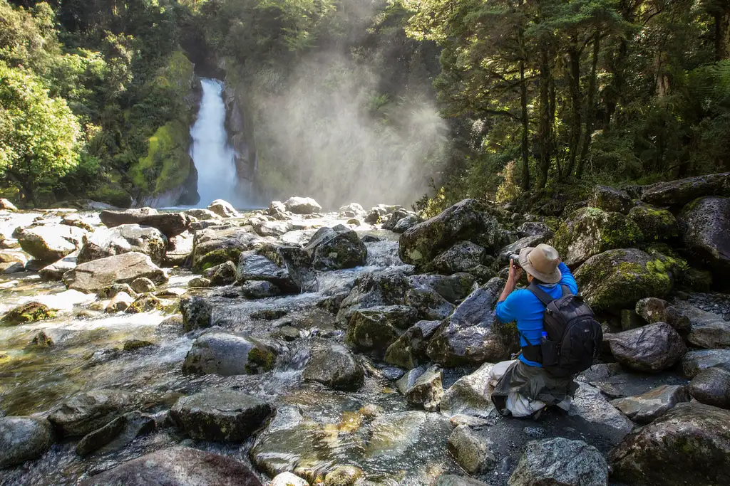 Milford Track Guided Walk - From Milford Sound