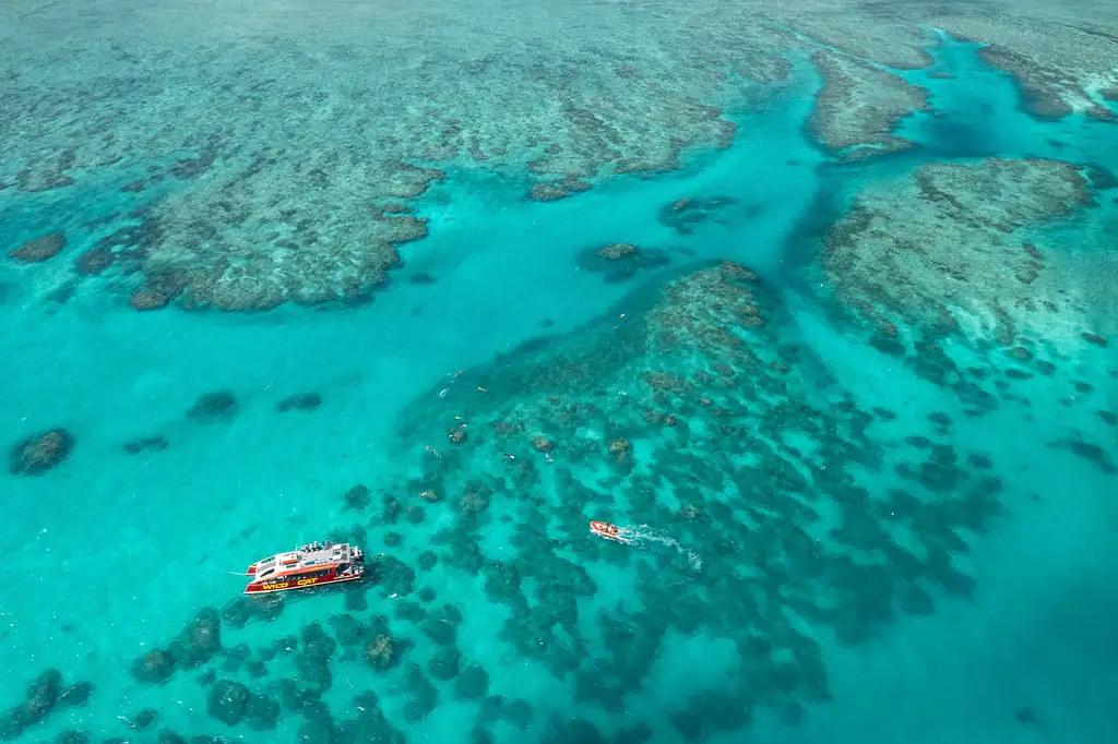 Outer Reef Snorkelling Adventure