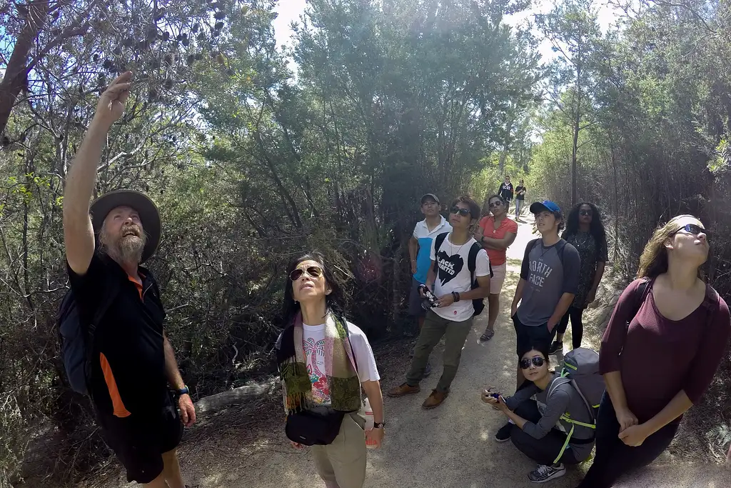 Wineglass Bay Beach Hike From Hobart