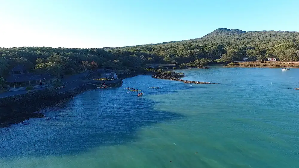 Rangitoto Island Kayaking Tour