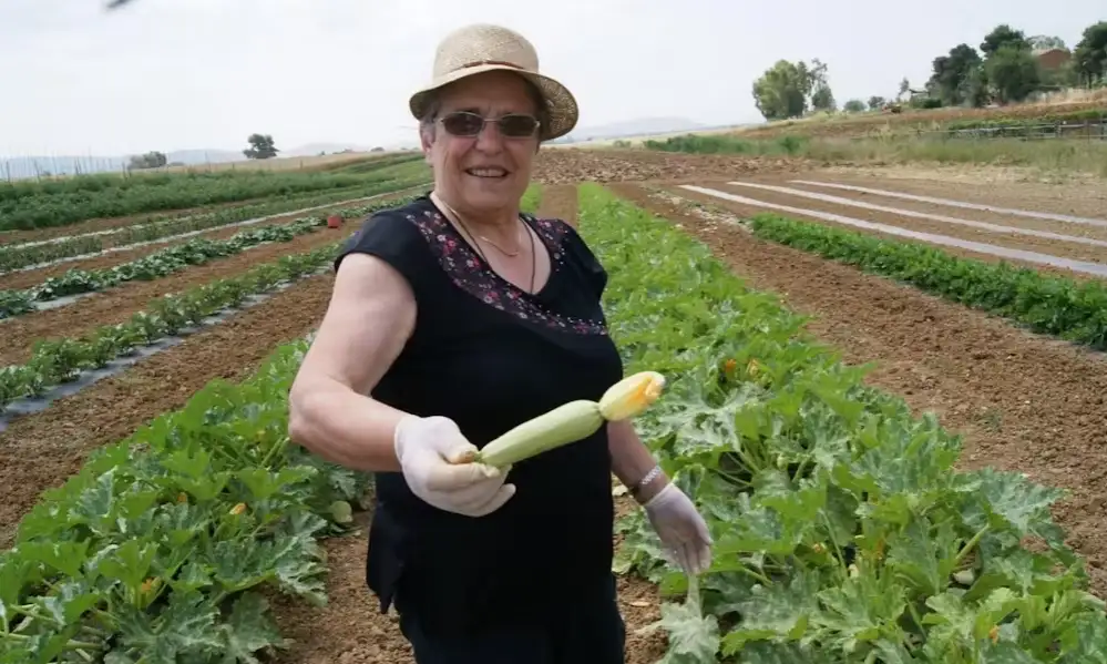 Cooking Day in the Roman Countryside