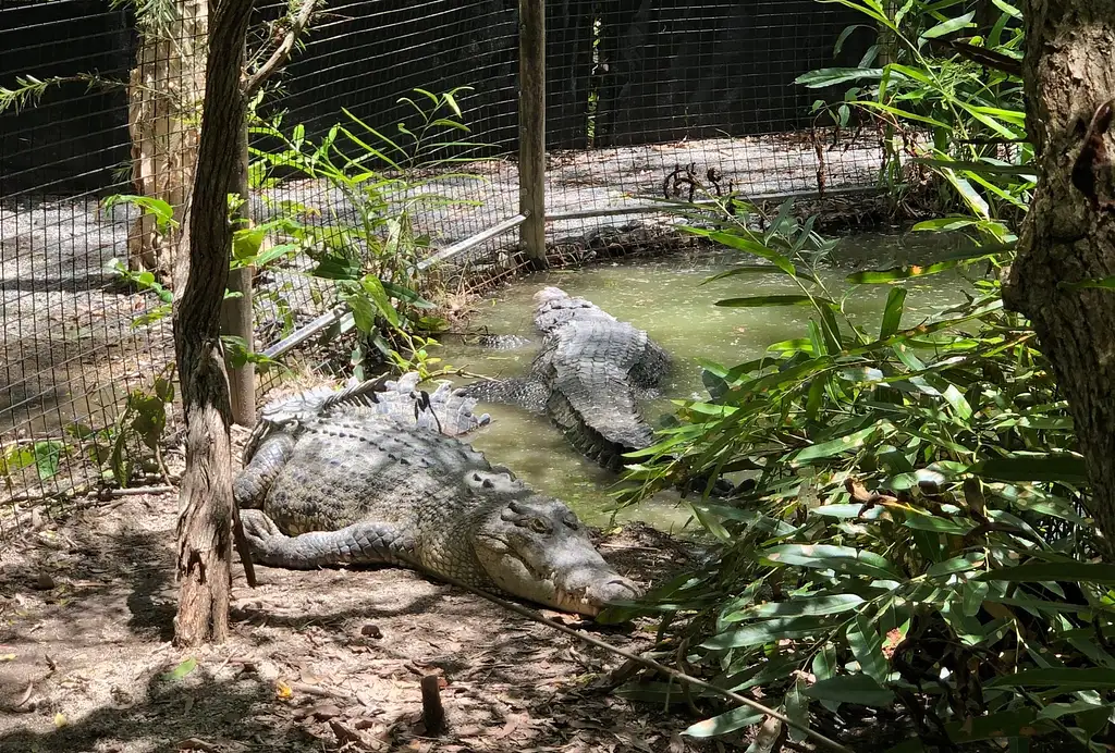 Hartley's Crocodile Adventures | General Admission