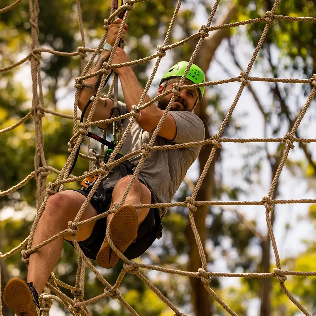 Lorne Super Circuit Treetop Adventure