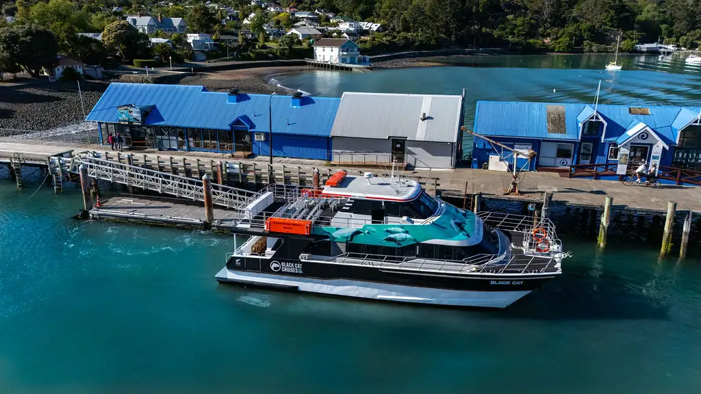 Akaroa Harbour Nature Cruise | 2 Hours