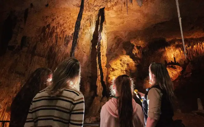 Jewel Cave Fully Guided Tour