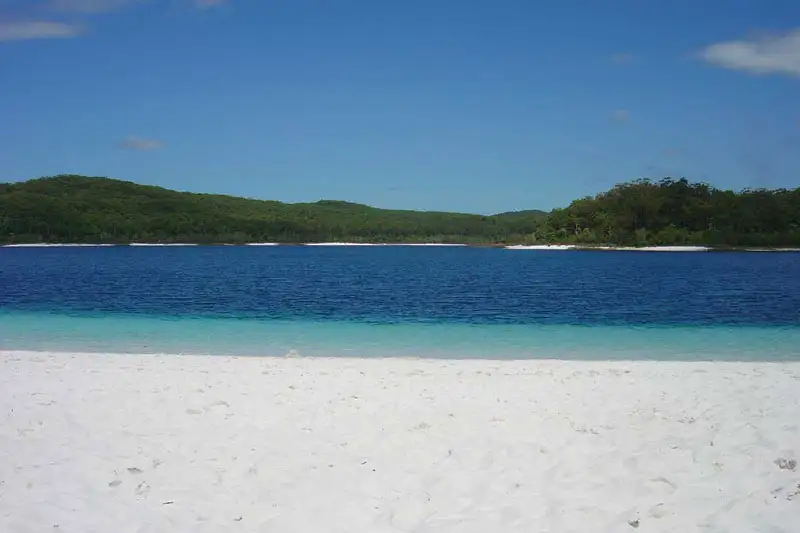 Unique Fraser Island - Full Day Tour