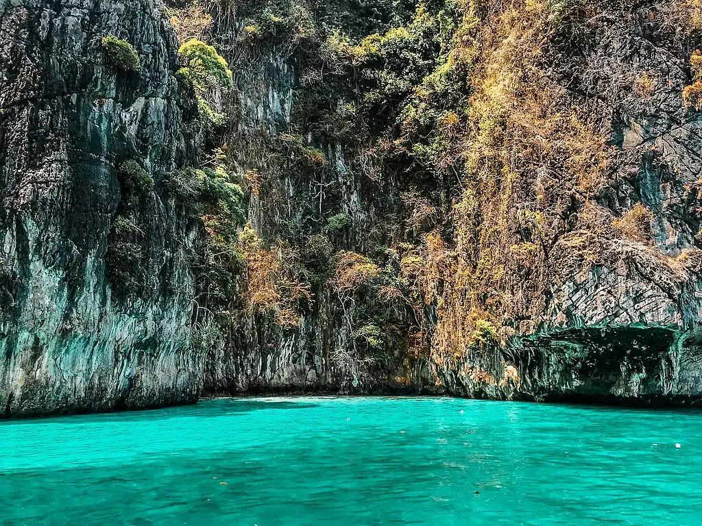 Phi Phi Island Private Boat Tour