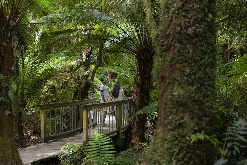 3 Day Great Ocean Road & Grampians Explorer | Start & End Melbourne