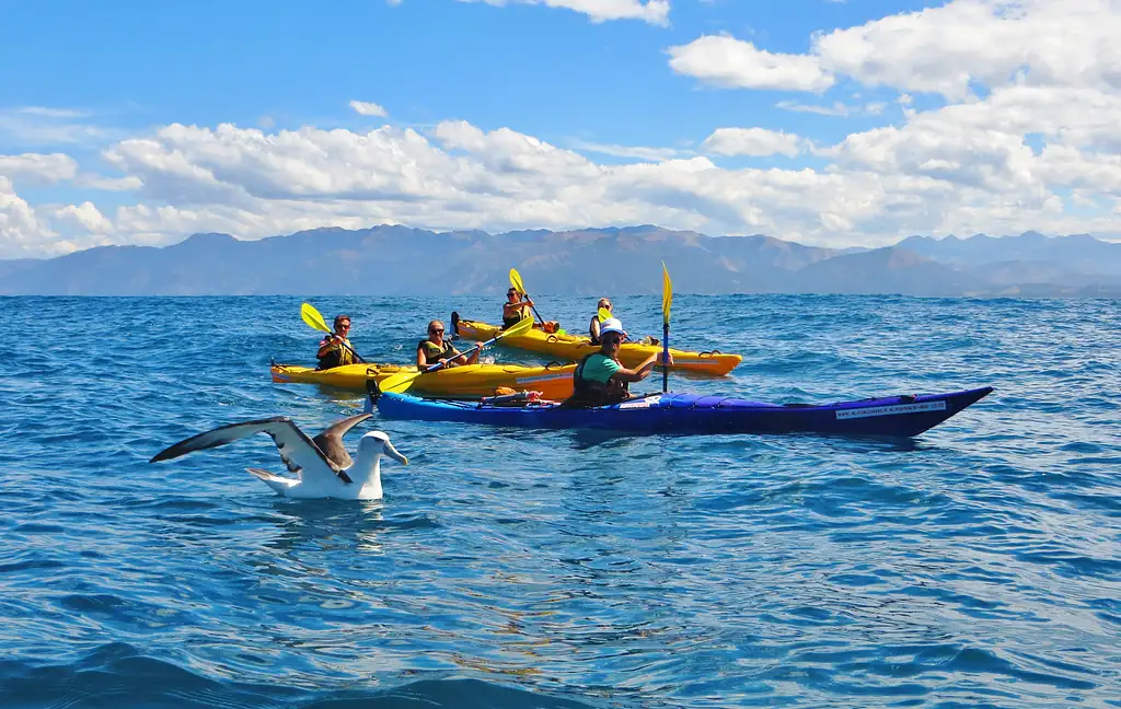 Kaikoura Guided Sunset Kayak Tour