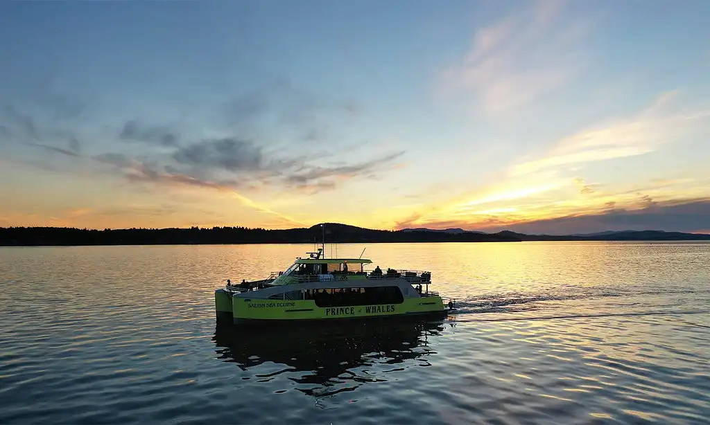 Sunset Whale Watching Adventure | From Victoria