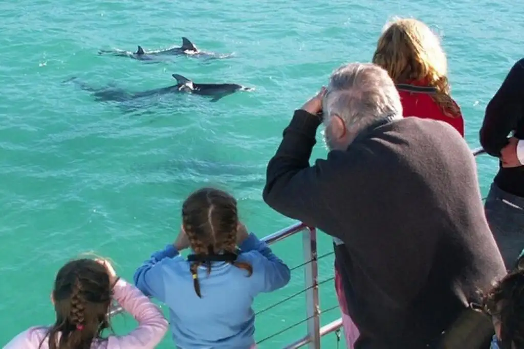 Jervis Bay with Dolphin Cruise | Day Tour from Sydney