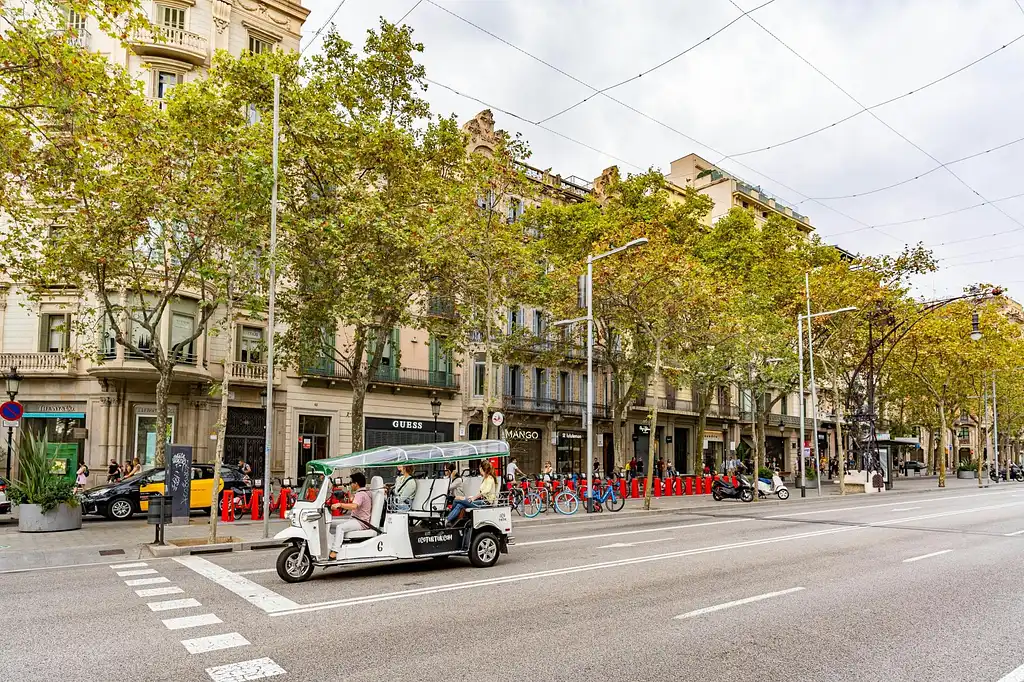 4-hour Tour Of Barcelona In An Electric Tuk-Tuk | Private Tour