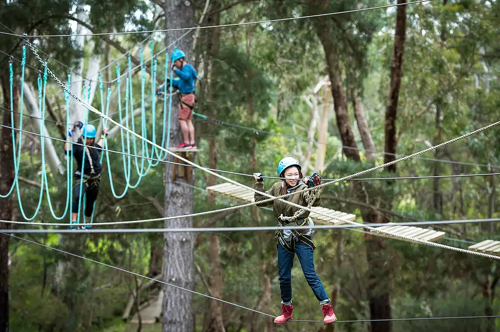 Rock Climb & Ropes Course - Southern Adventure Hub