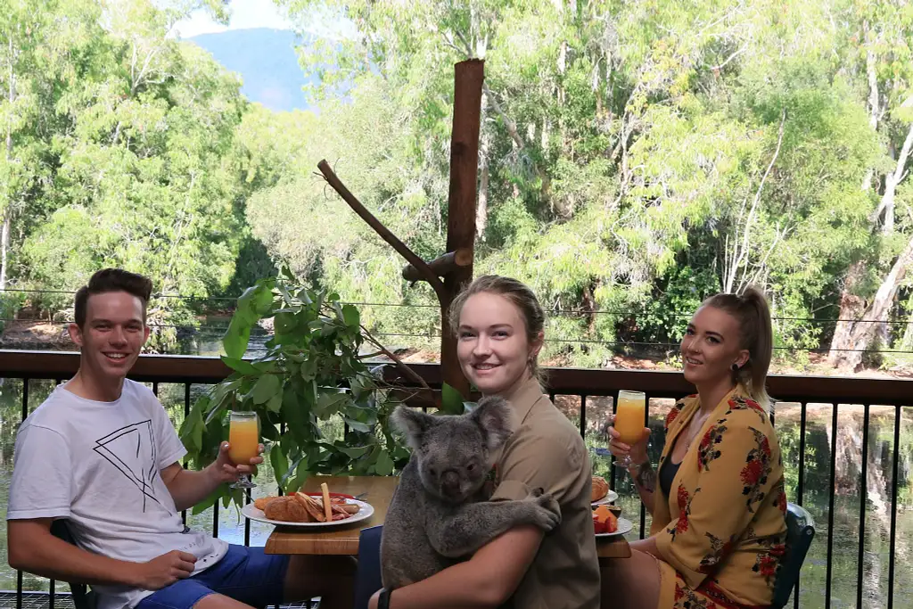 Hartley's Crocodile Adventures | Breakfast with the Koalas