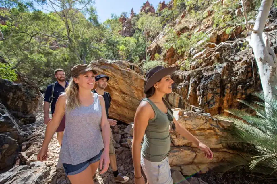 West MacDonnell Ranges (Tjoritja) Tour from Alice Springs