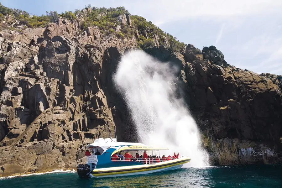 Wilderness Cruise From Bruny Island