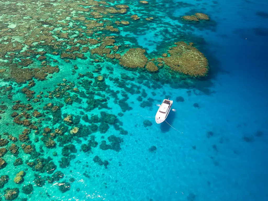 Cairns 5 Day PADI Learn To Dive Course + 2 Night Liveaboard Experience | Great Barrier Reef