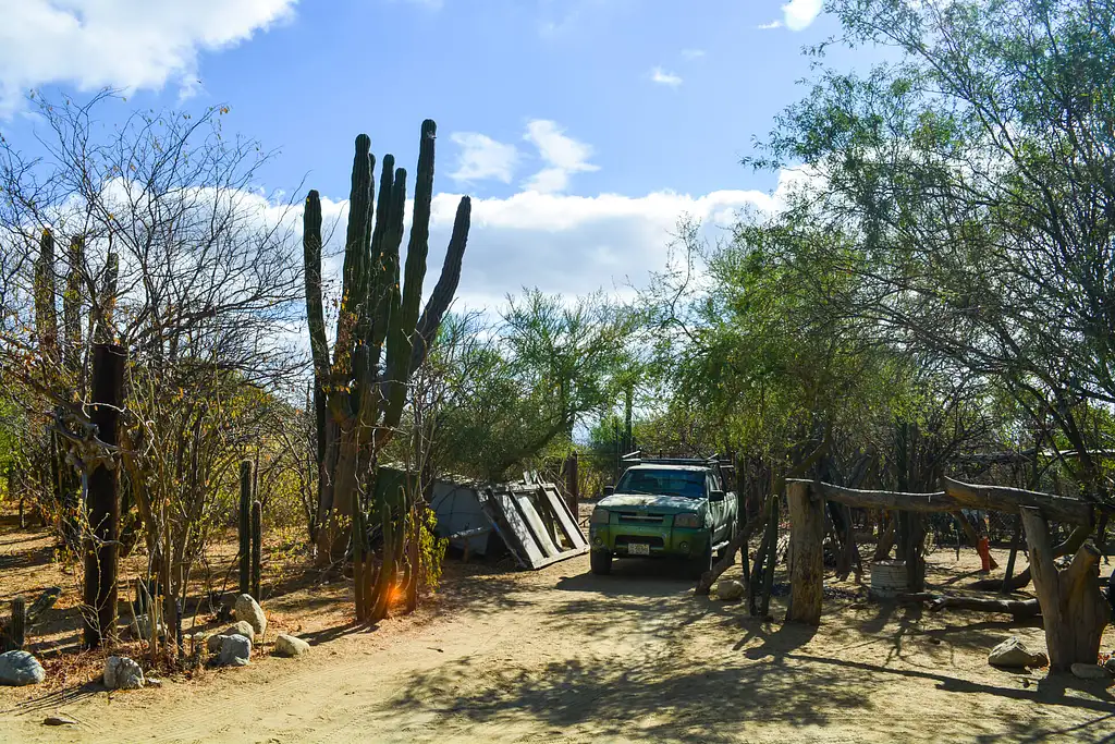 Hiking Tour Of Fox Canyon - Cabo San Lucas