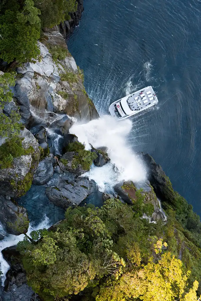 Milford Sound Nature Cruise With Coach