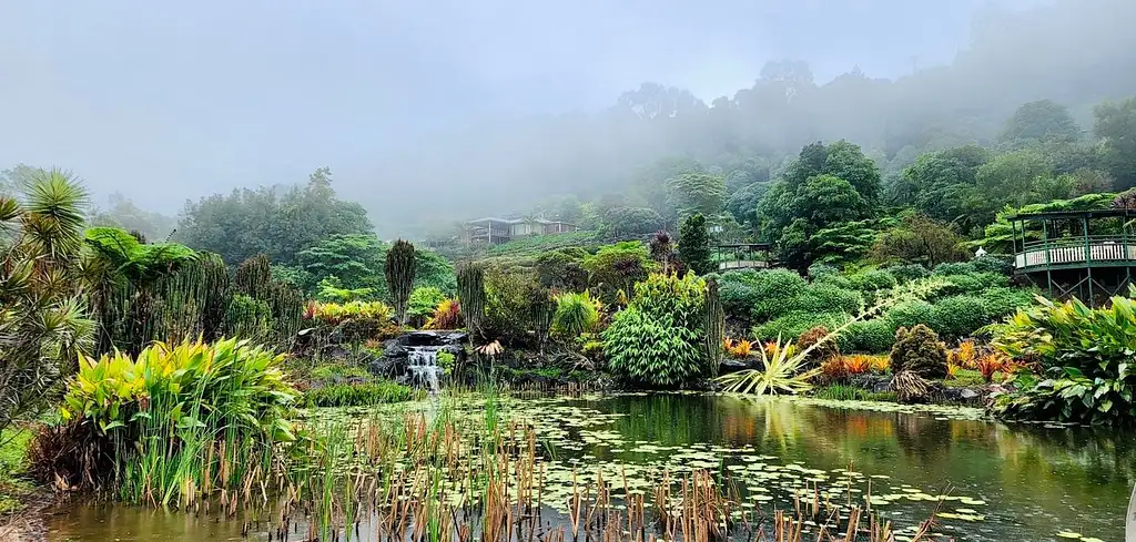 Maleny Botanic Gardens & Bird World Entry