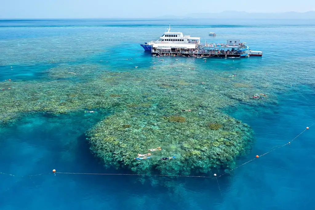 Moore Reef & Fitzroy Island - Reef & Island in a Day Tour