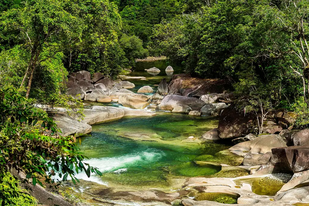 Uncle Brian's Waterfalls and Rainforest Tour